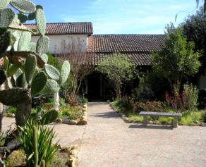 Mission Courtyard